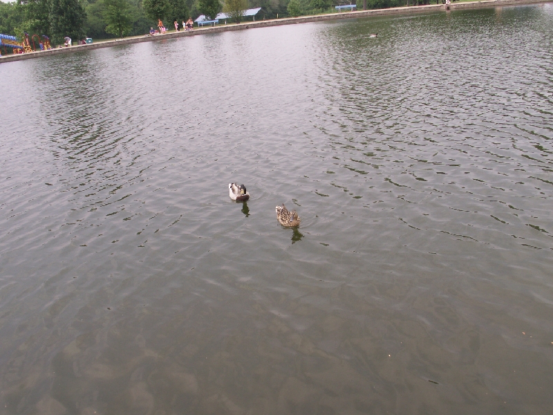 PICT0548.JPG
