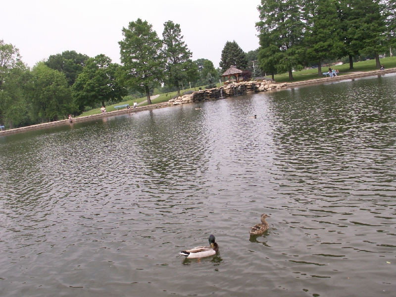 PICT0555.JPG