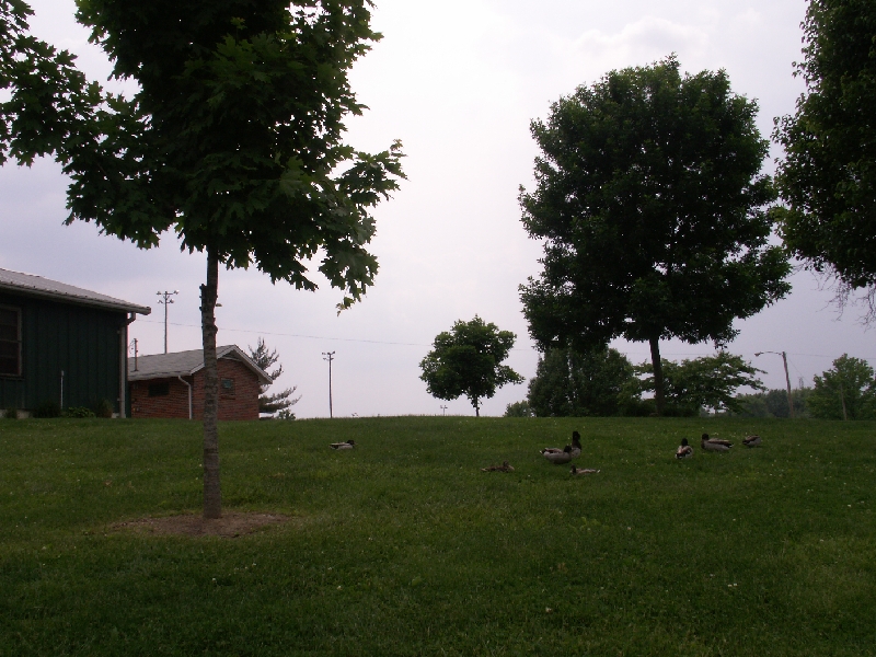 PICT0559.JPG