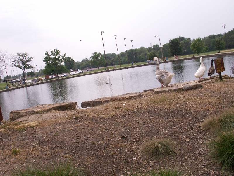 PICT0560.JPG