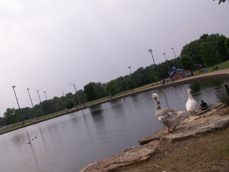 PICT0563.JPG