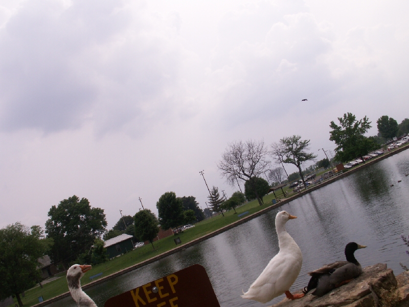 PICT0565.JPG