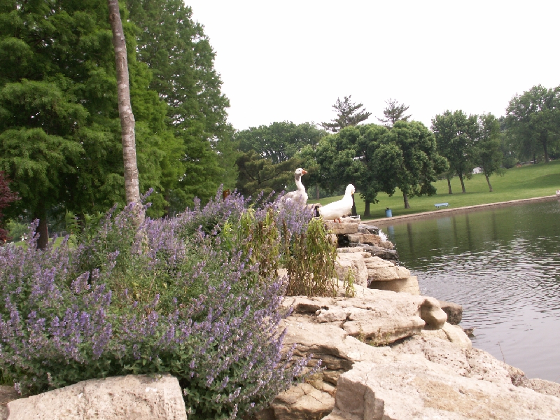 PICT0569.JPG