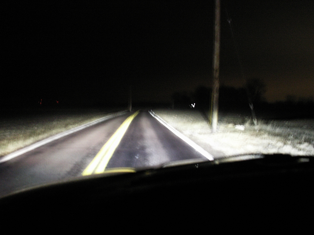 hid14.JPG